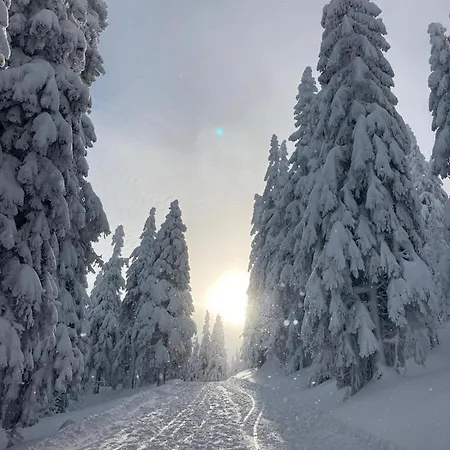 Rychtarikovi