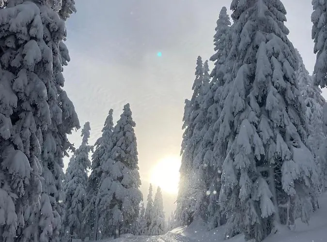 Rychtarikovi